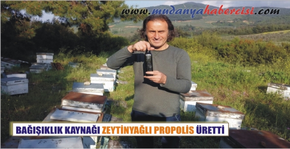 BAIIKLIK KAYNAI ZEYTNYALI PROPOLS RETT